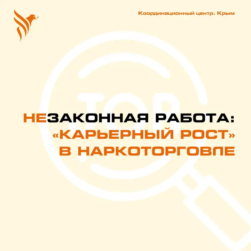 Незаконная работа: карьерный рост в наркоторговле, карточка 1